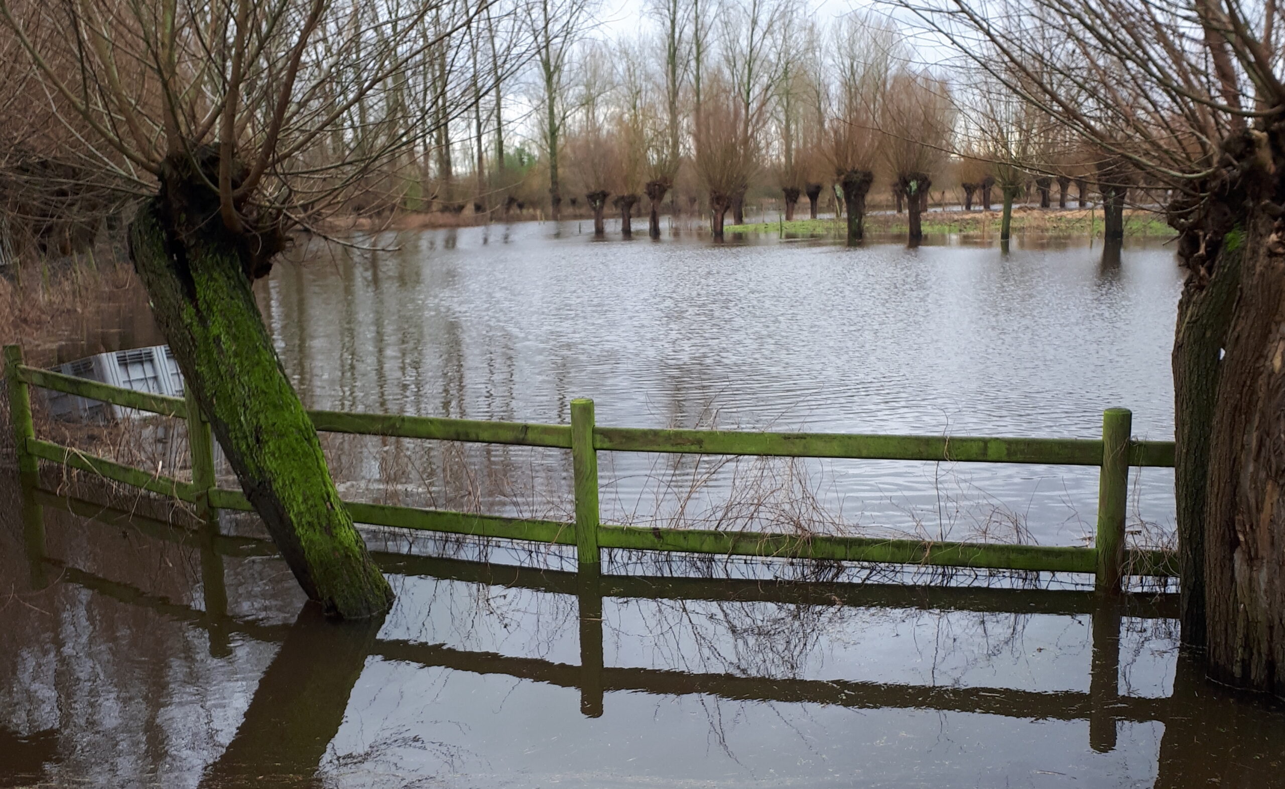 Overstroomd landschap met een hek en knoestige bomen om een meer. Winterse sfeer.