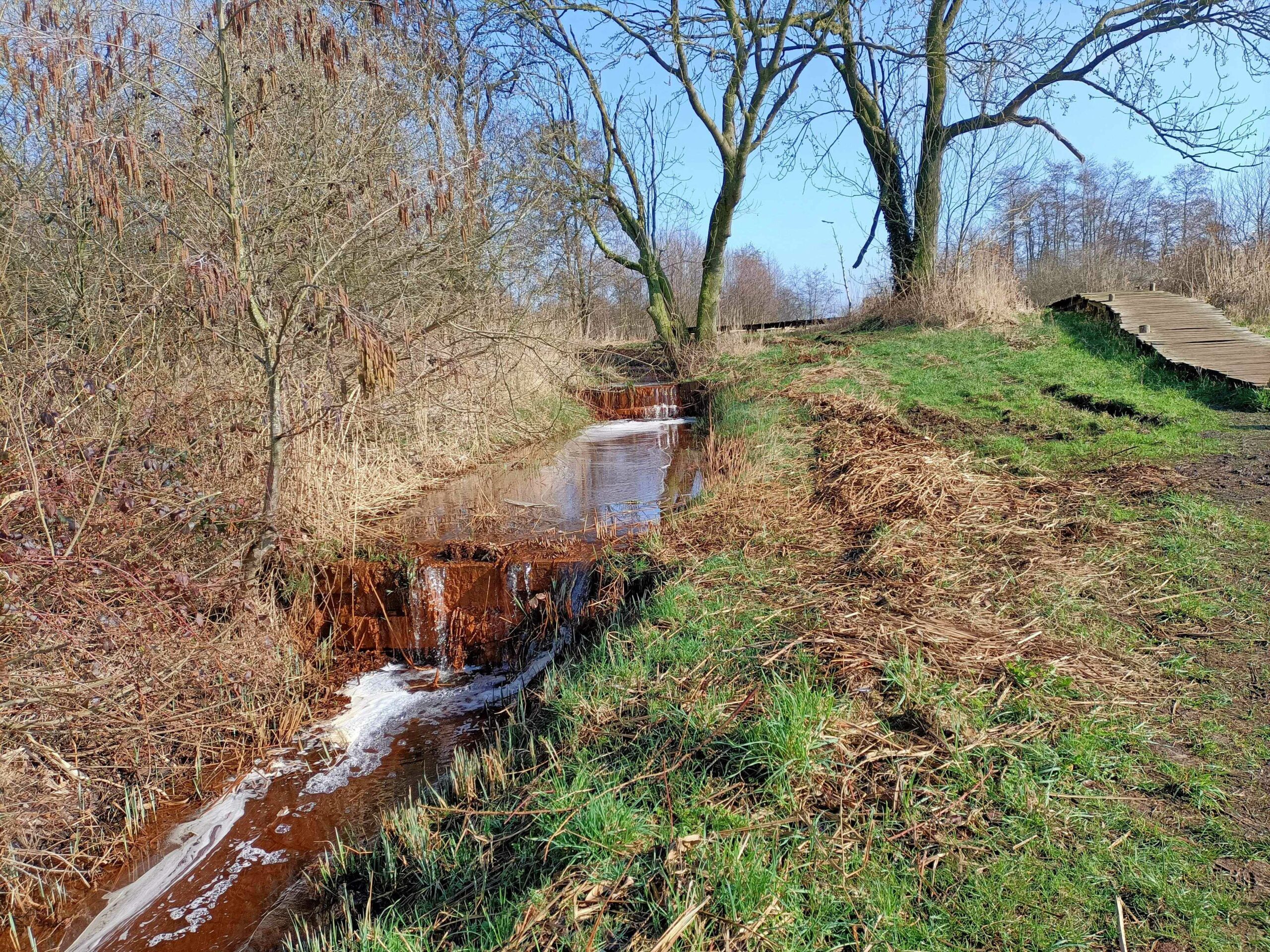 Beek met waterval in een groen natuurgebied, houten pad links, kale bomen rond.