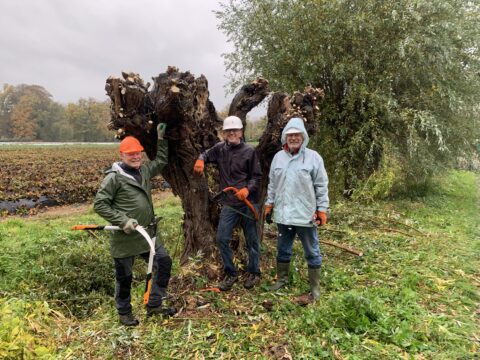 Drie mensen in regenkleding poseren bij een geknotte boom op een druilerige dag in het veld.