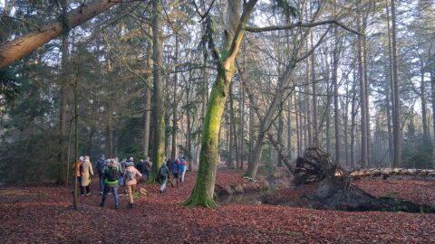 Landgoed Baest foto Remy Luijten