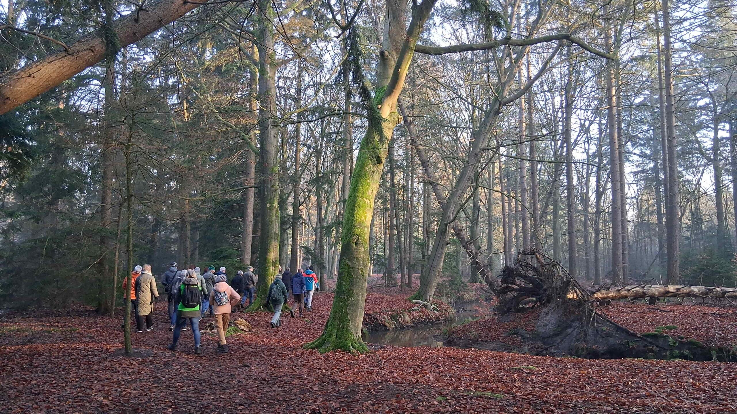 Landgoed Baest foto Remy Luijten