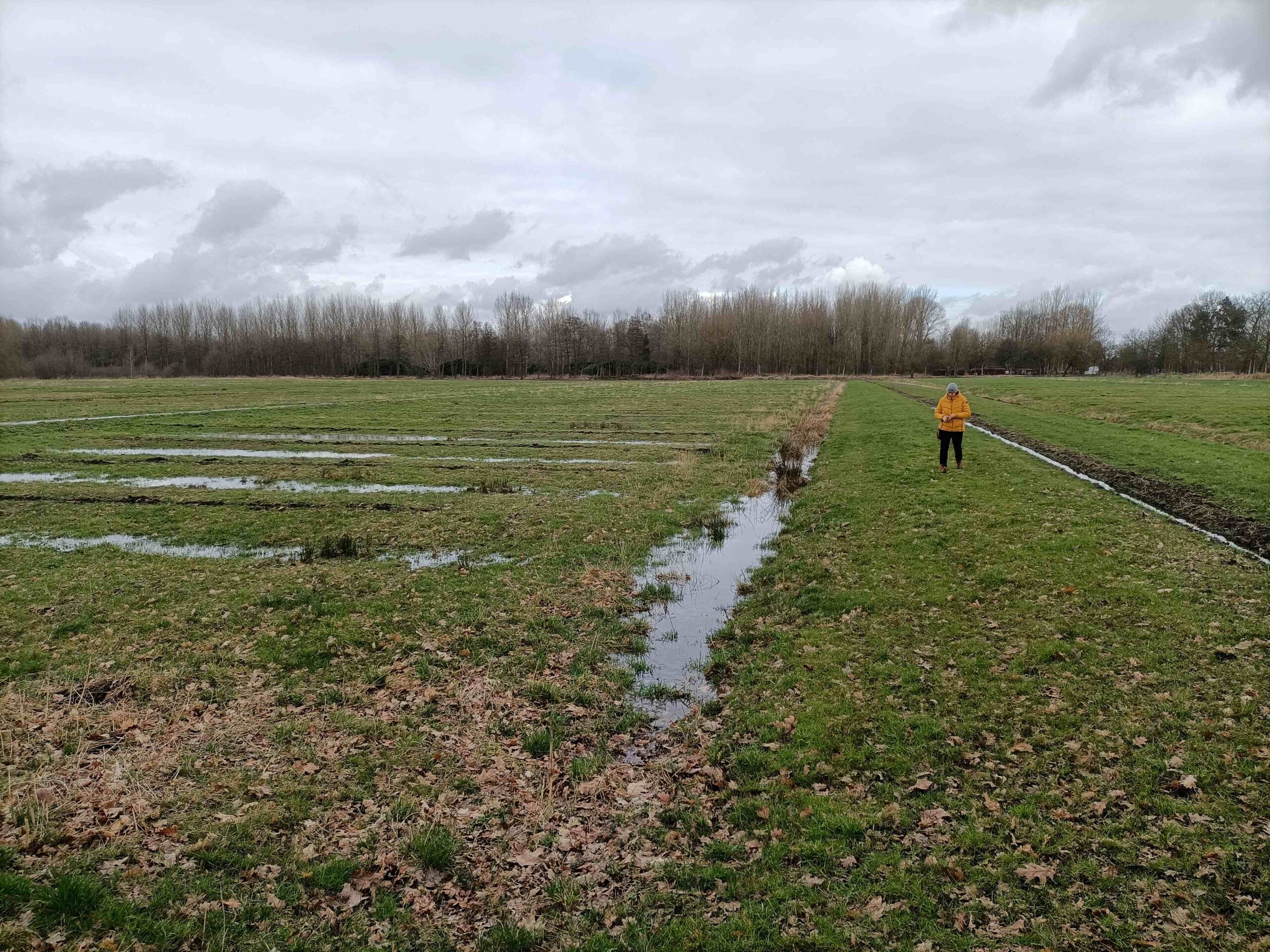 Persoon in gele jas loopt door waterig, grasachtig landschap met bewolkte lucht.