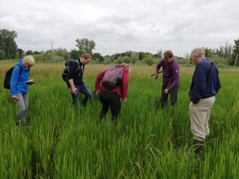 Vijf mensen onderzoeken gras in een groen veld onder bewolkte hemel.