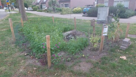 Kleine buurttuin omheind, met diverse planten en bloeiende bloemen naast een woonwijk.