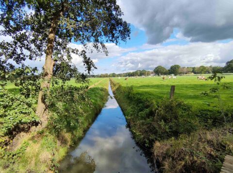 Sloot met weerspiegelende lucht, omliggende weiden en grazende koeien onder wisselende bewolking.