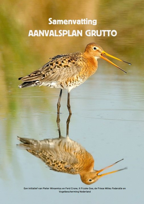 Aanvalsplan Grutto