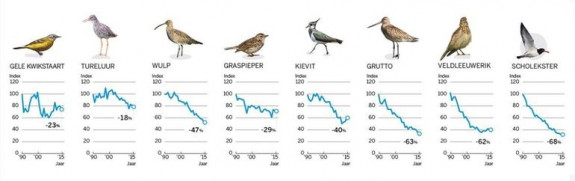 Weidevogels - afname over de periode 1990-2015