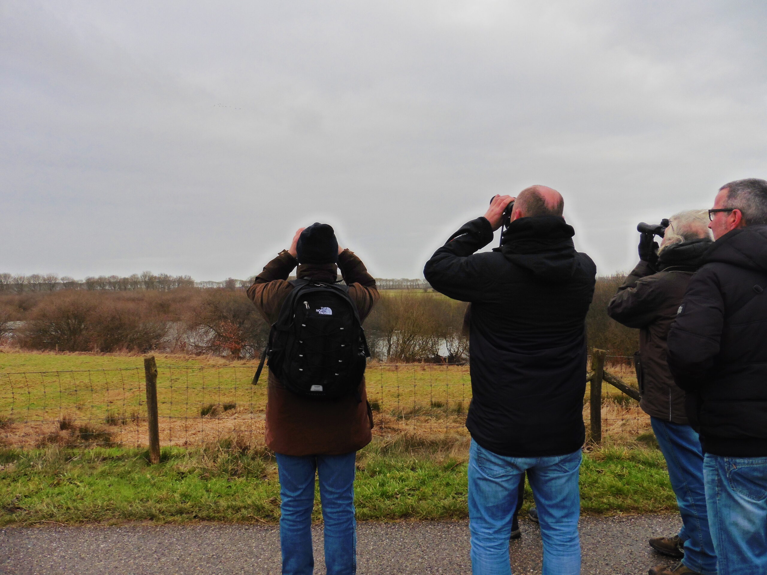 Mensen met verrekijkers observeren vogels in een open landschap met een bewolkte lucht.