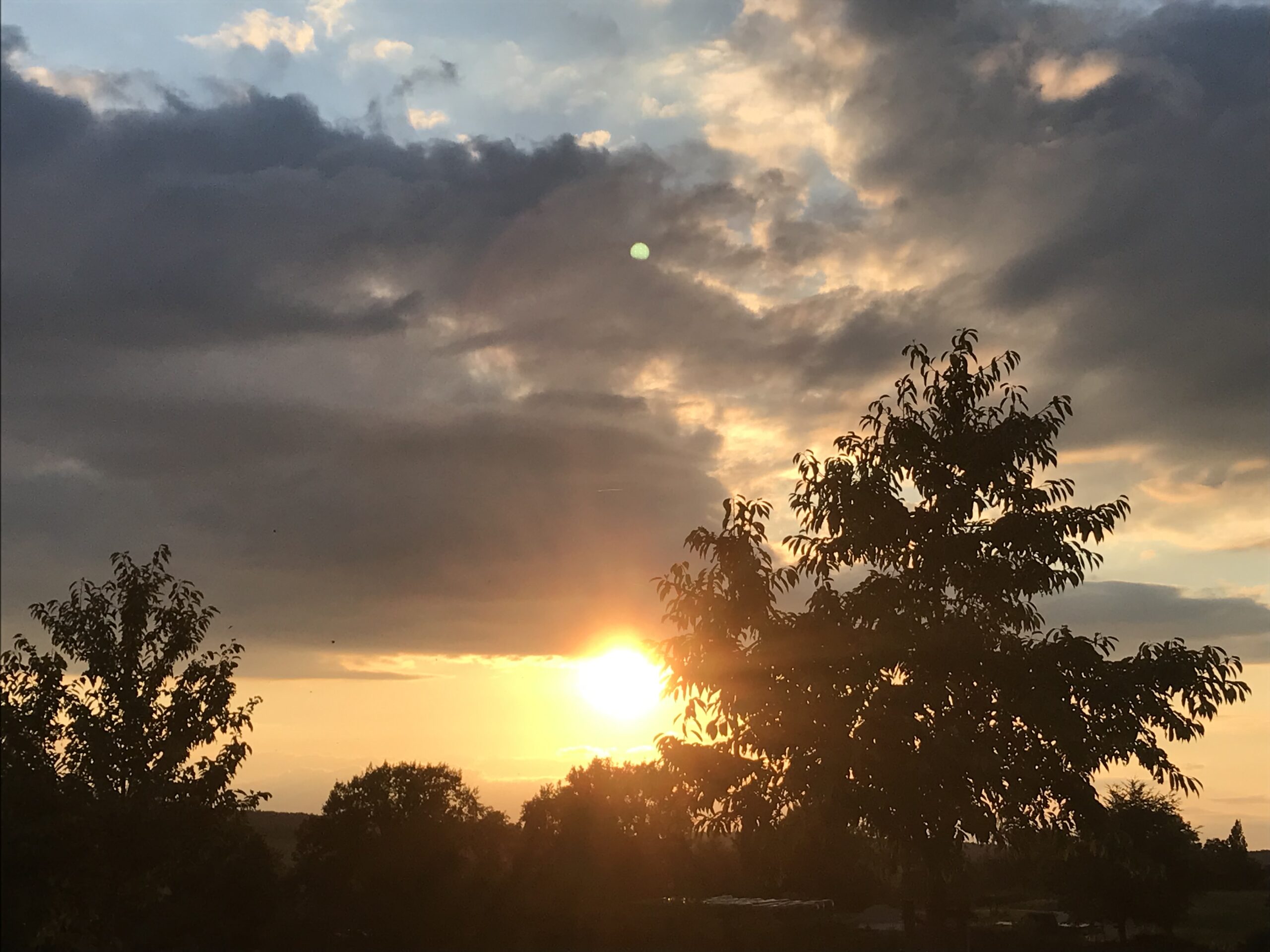 Zonsopkomst achter bomen met bewolkte hemel en zonnestralen.