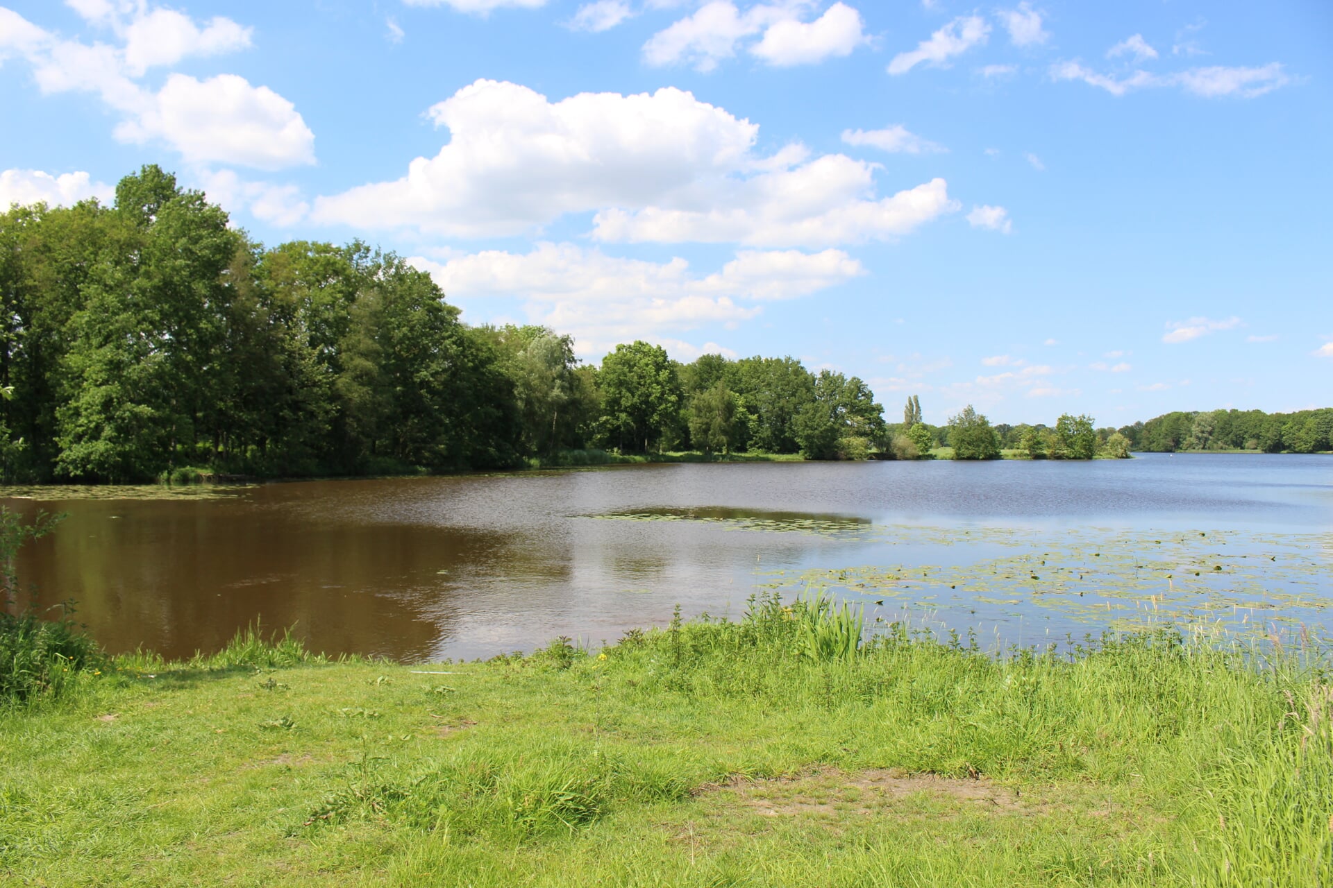 Vijver omringd door groene bomen, onder een deels bewolkte blauwe hemel.