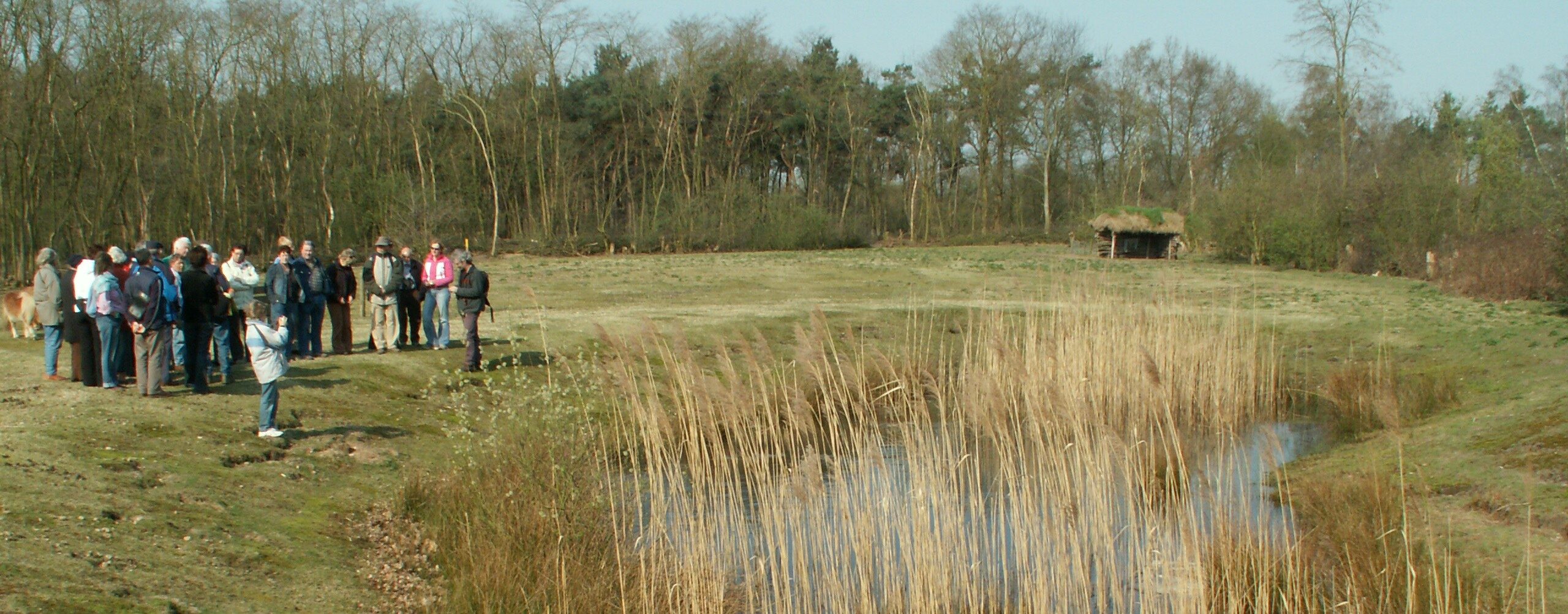 Een groep mensen staat bij een vijver met riet, omringd door grasland en bomen.