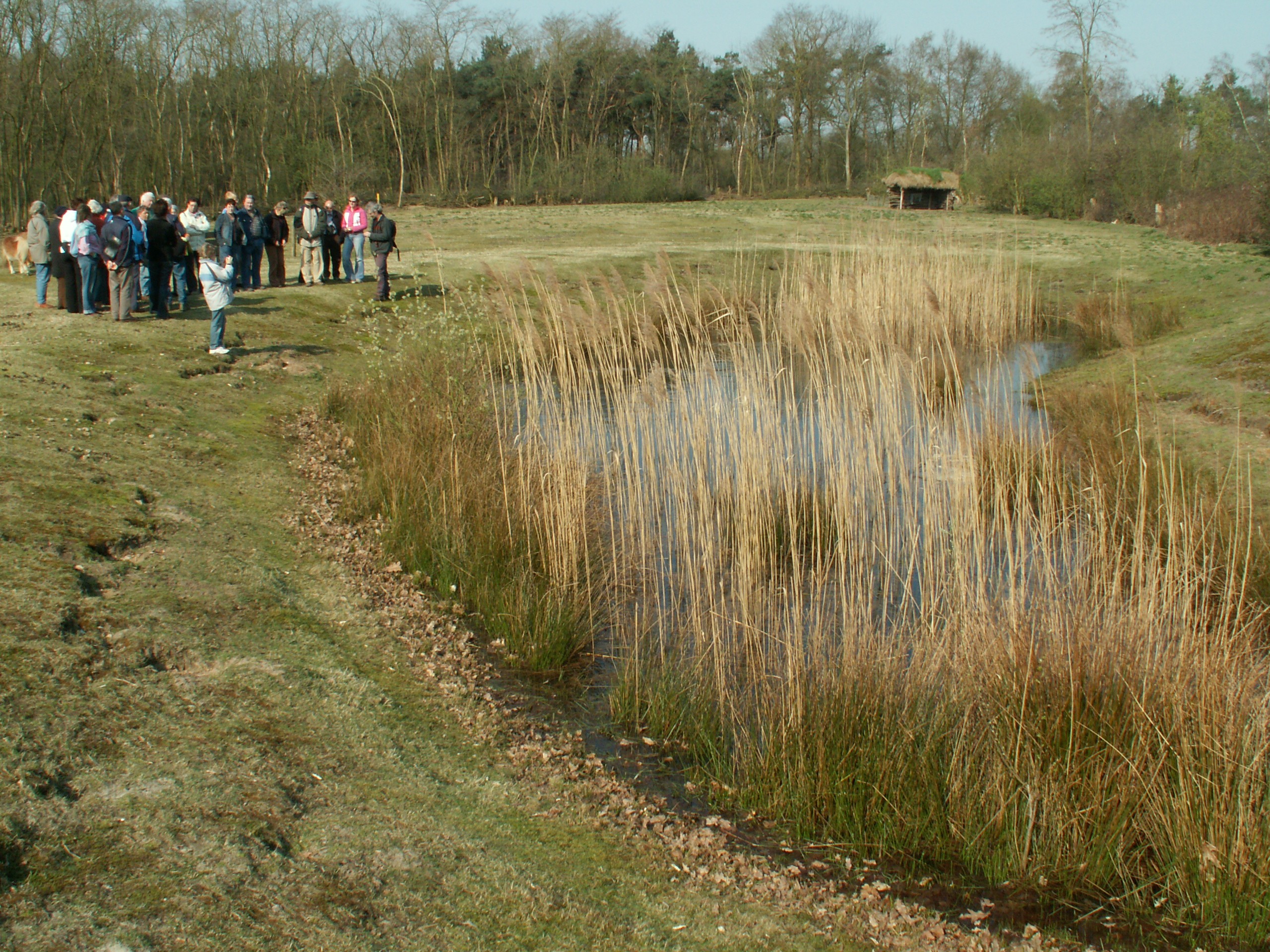 Een groep mensen staat bij een vijver met riet, omringd door grasland en bomen.