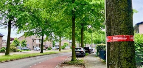 Straat met bomen, fietspad en auto's; rode poster op boomstam rechts.