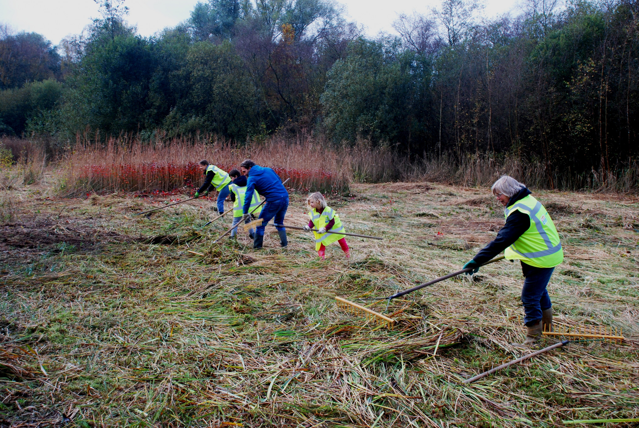 Werkgroep Ratteneiland