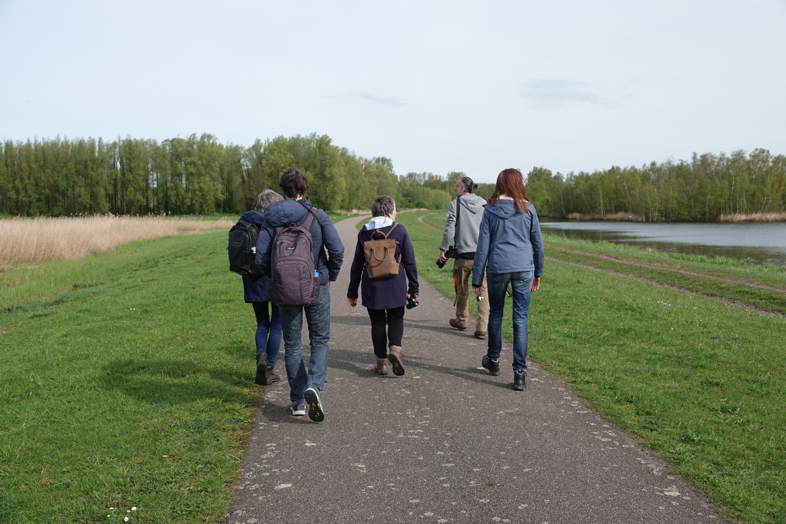Zes mensen wandelen op een pad langs grasland en een meer onder een bewolkte hemel.