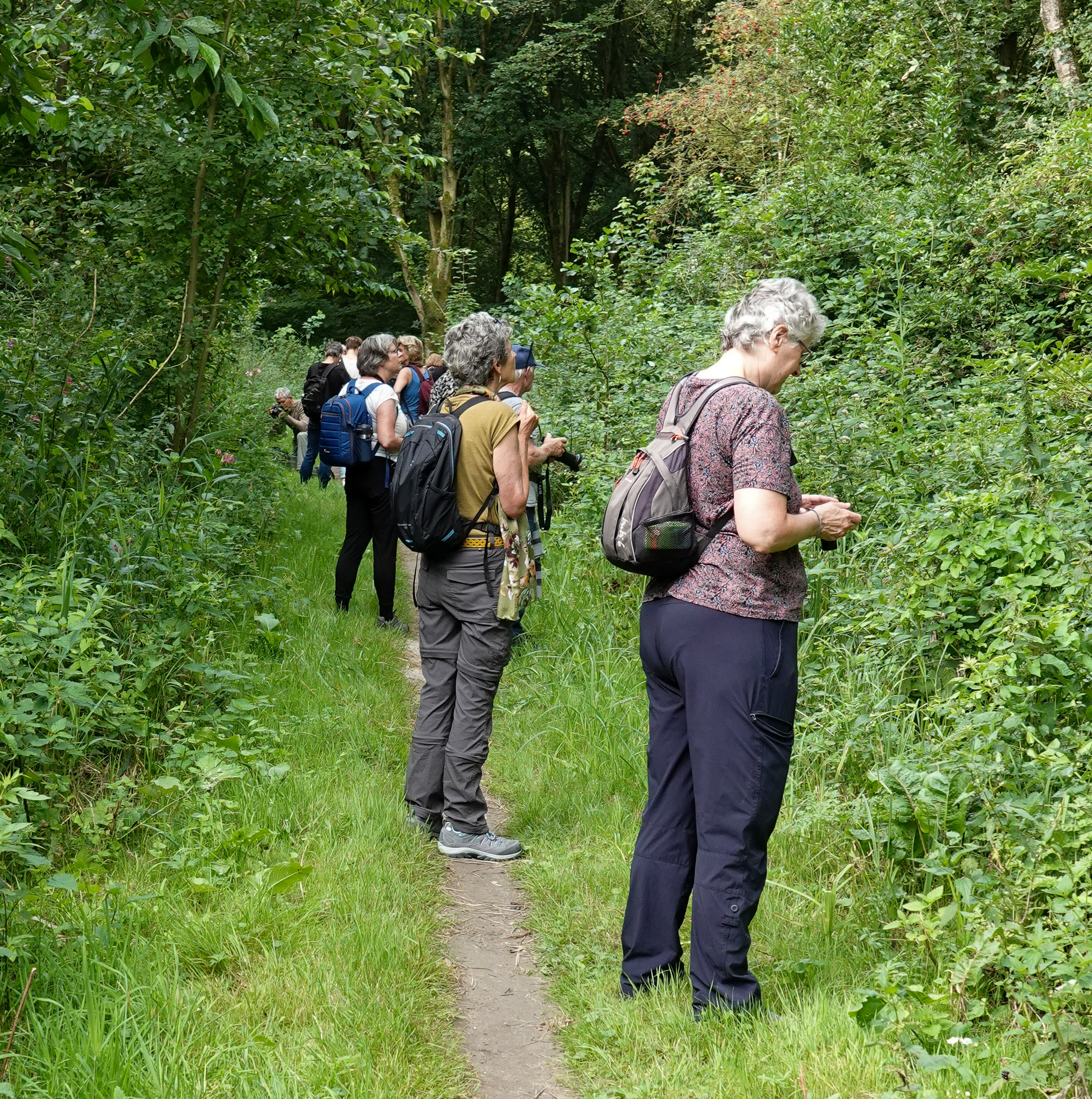 Groep mensen wandelt op smal bospad, omgeven door dicht groen gebladerte.