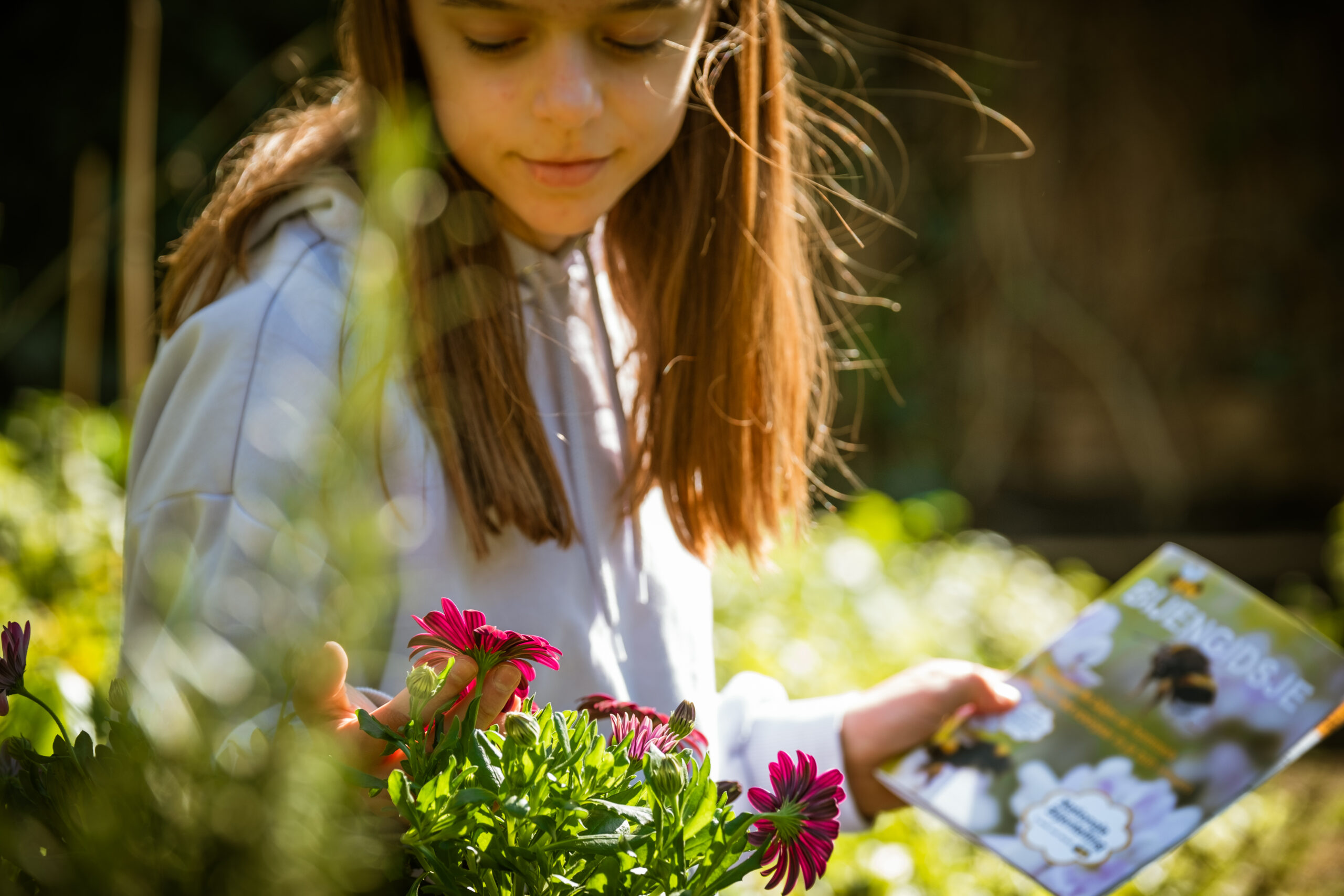 Meisje in tuin bewondert roze bloemen, houdt boekje vast met bijen op de omslag.