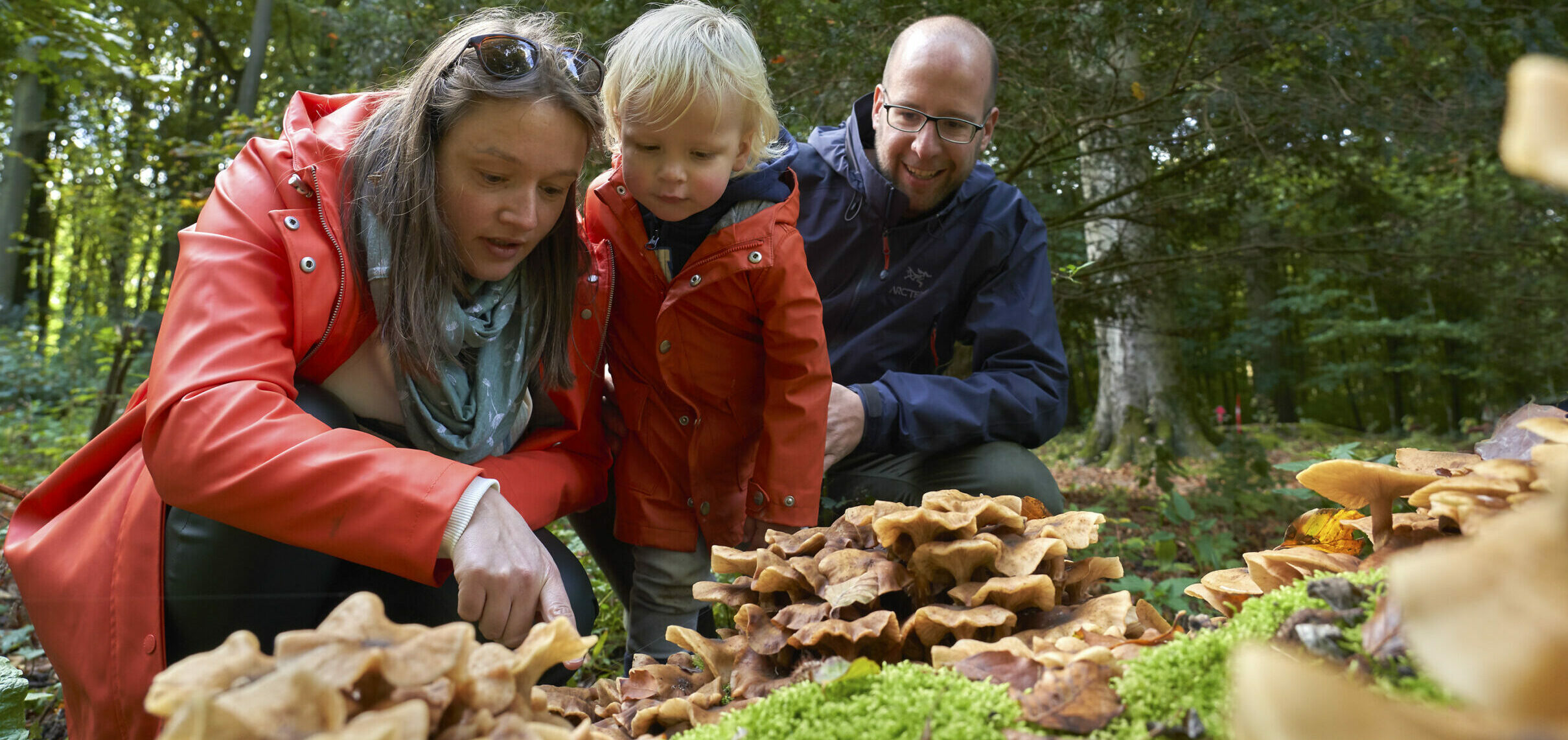 Volwassenen en kind kijken naar paddenstoelen in een bosrijke omgeving.