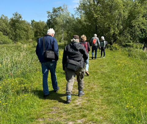 Groep mensen wandelt op een groen pad in een bosrijke omgeving onder een blauwe lucht.