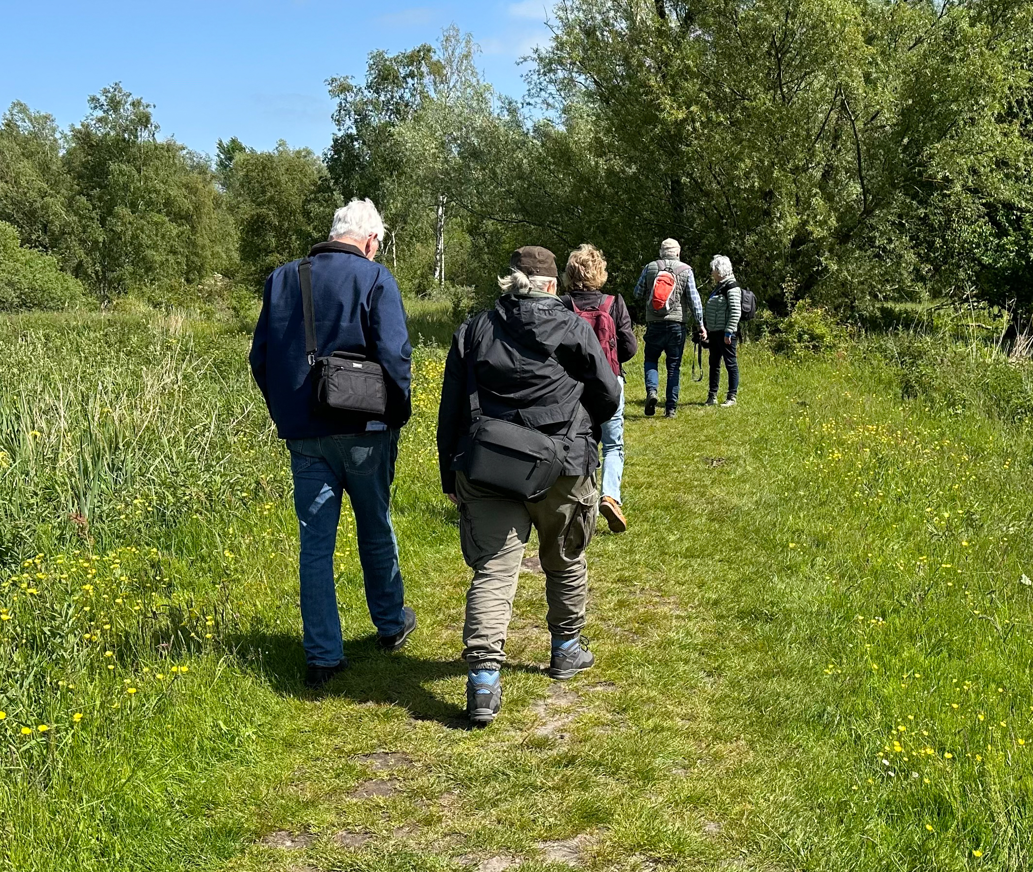 Groep mensen wandelt op een groen pad in een bosrijke omgeving onder een blauwe lucht.
