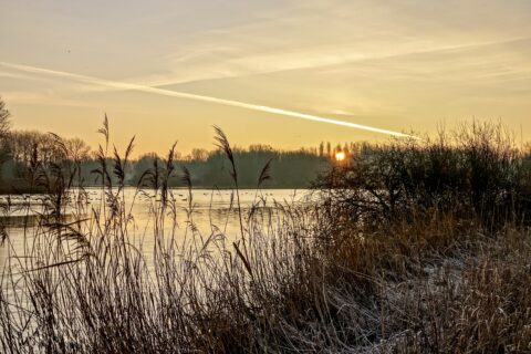 Zonsopgang boven een rivier met riet en bosjes op de voorgrond en vogels in de lucht.