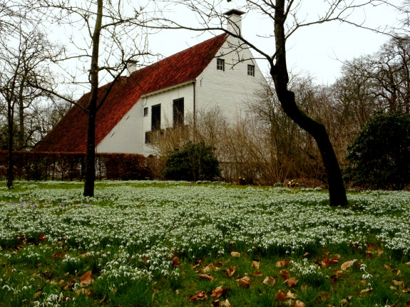Foto Catharina Arkema