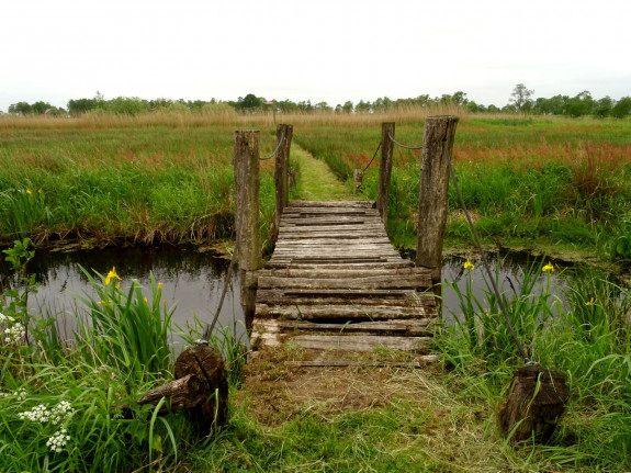 Foto Catharina Arkema