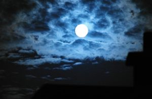 Ervaar de nacht in een donker bos (29 okt.)