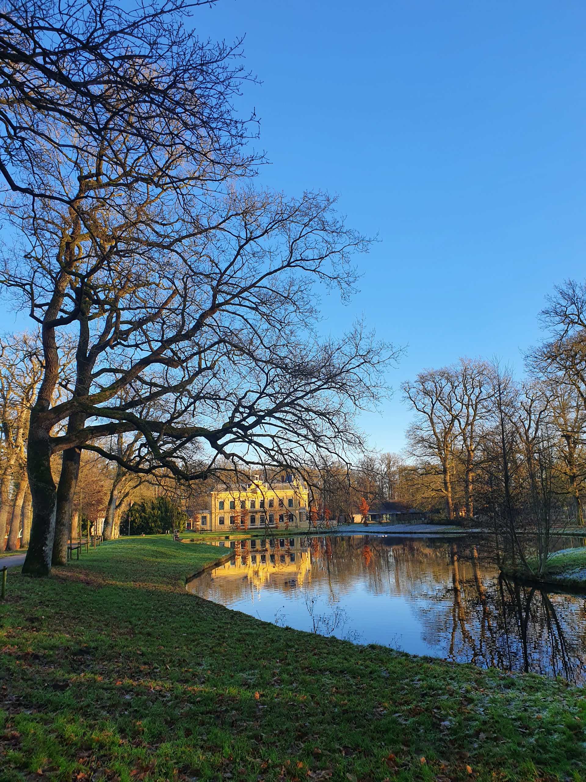 Eendenvijver Nienoord