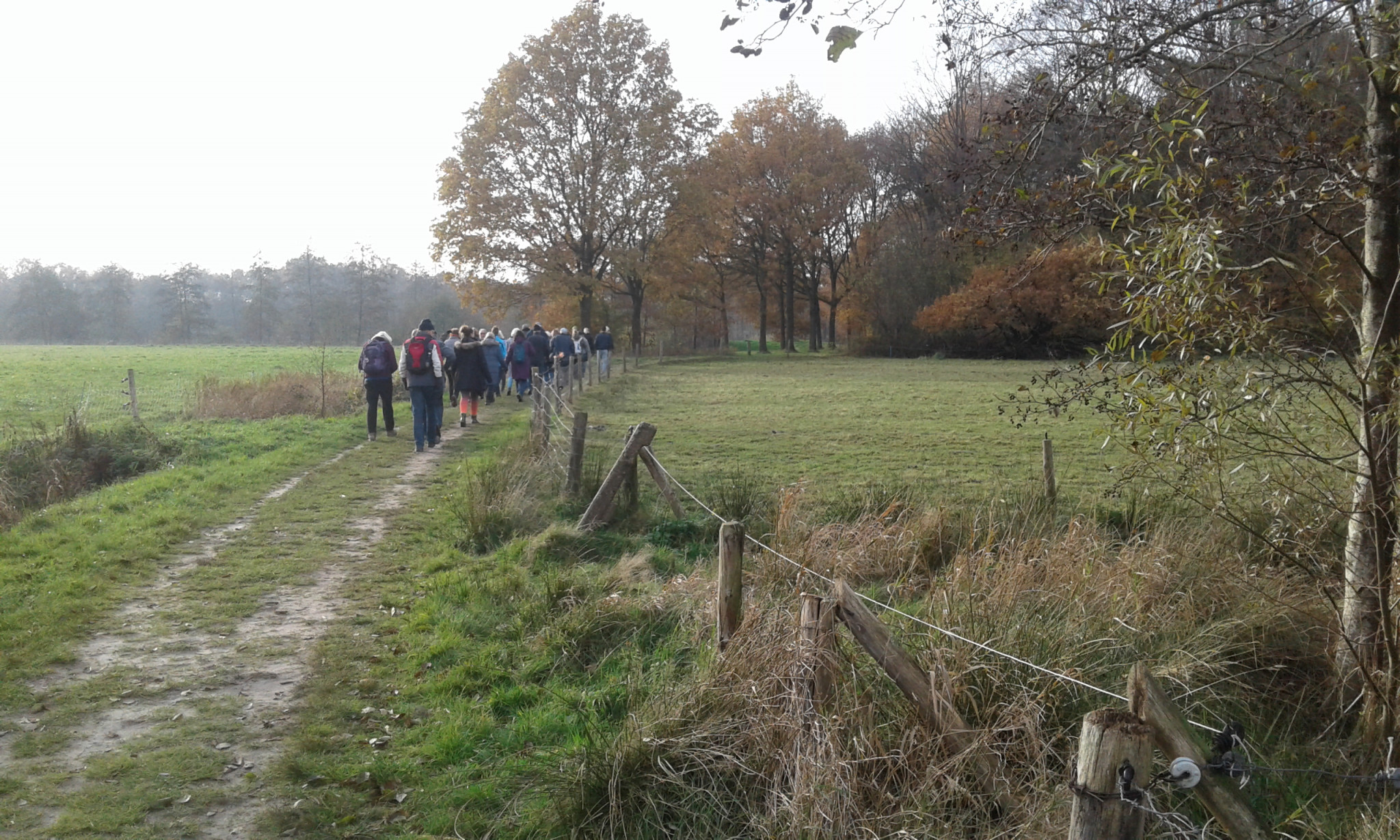 Wandelen in de Zuursche Duinen
