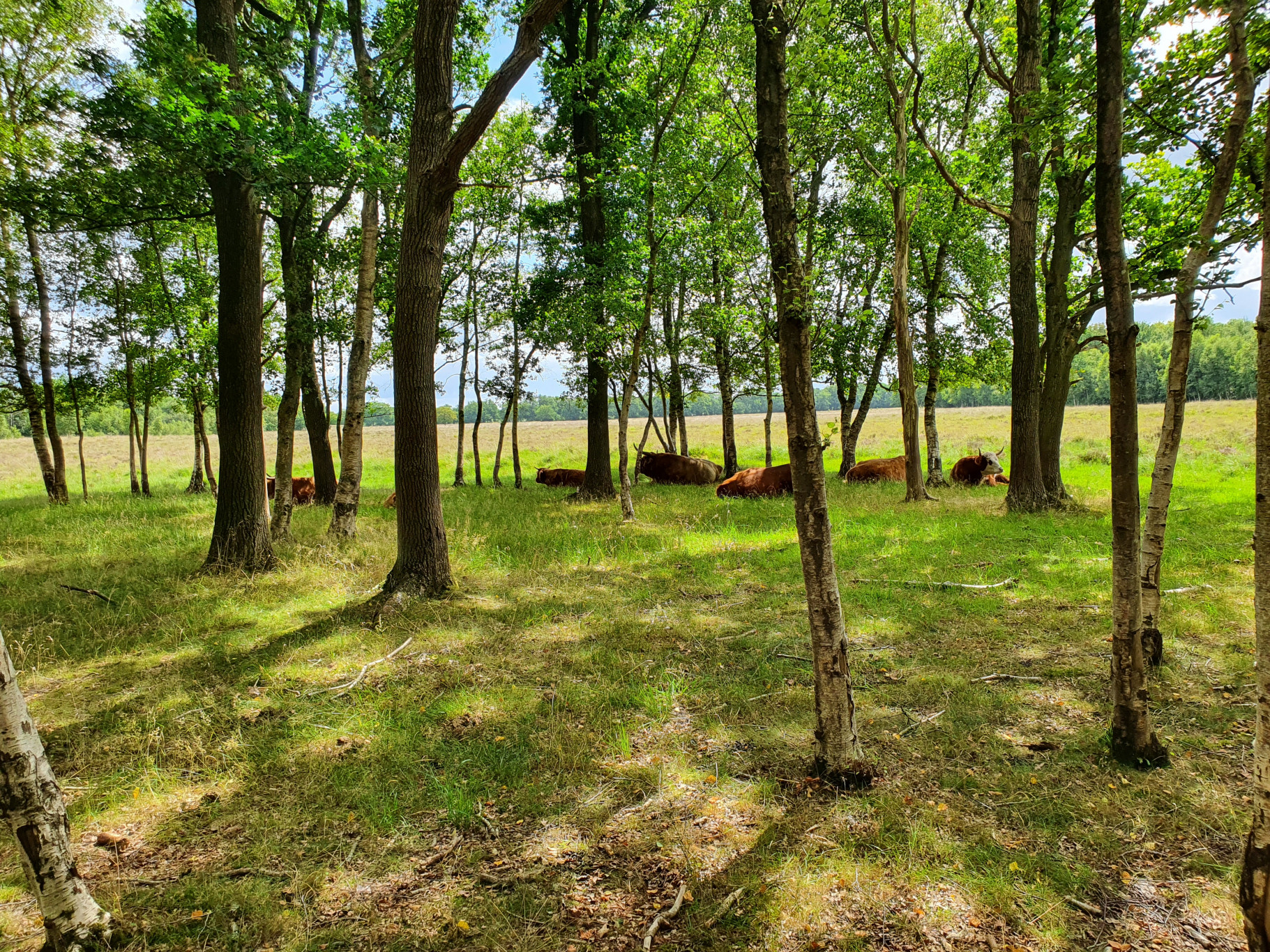 Wandeling van Trimunt naar Jilt Dijksheide (21 sept.)