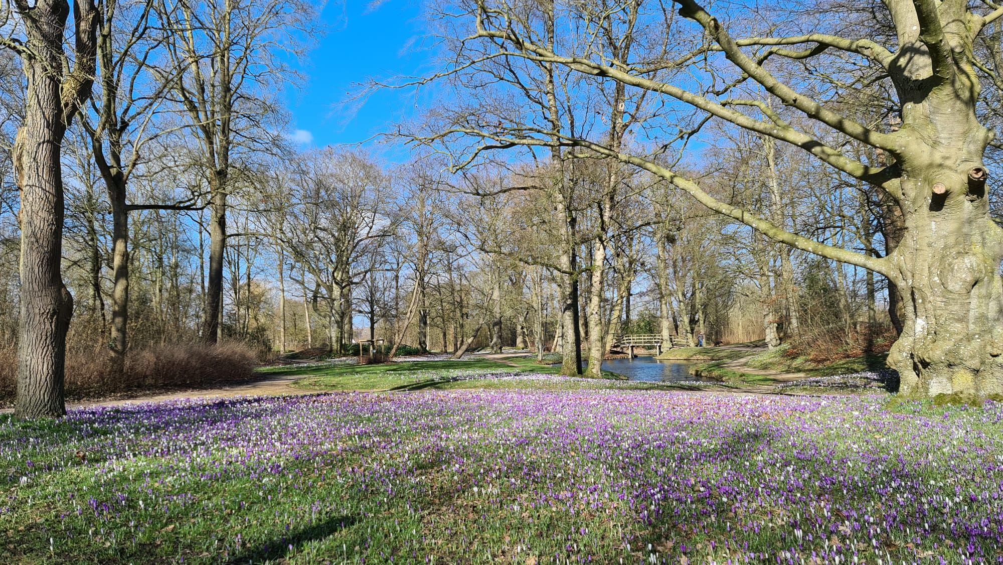 Voorjaar in Notoaristuun