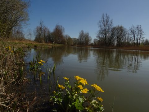 Dotter Nam-locatie