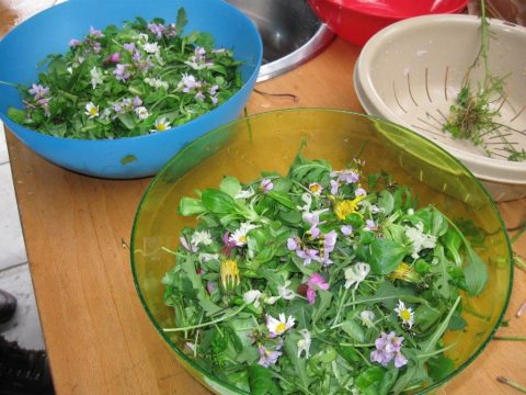 Twee kommen met salade en eetbare bloemen in een keuken, nabij een vergiet.