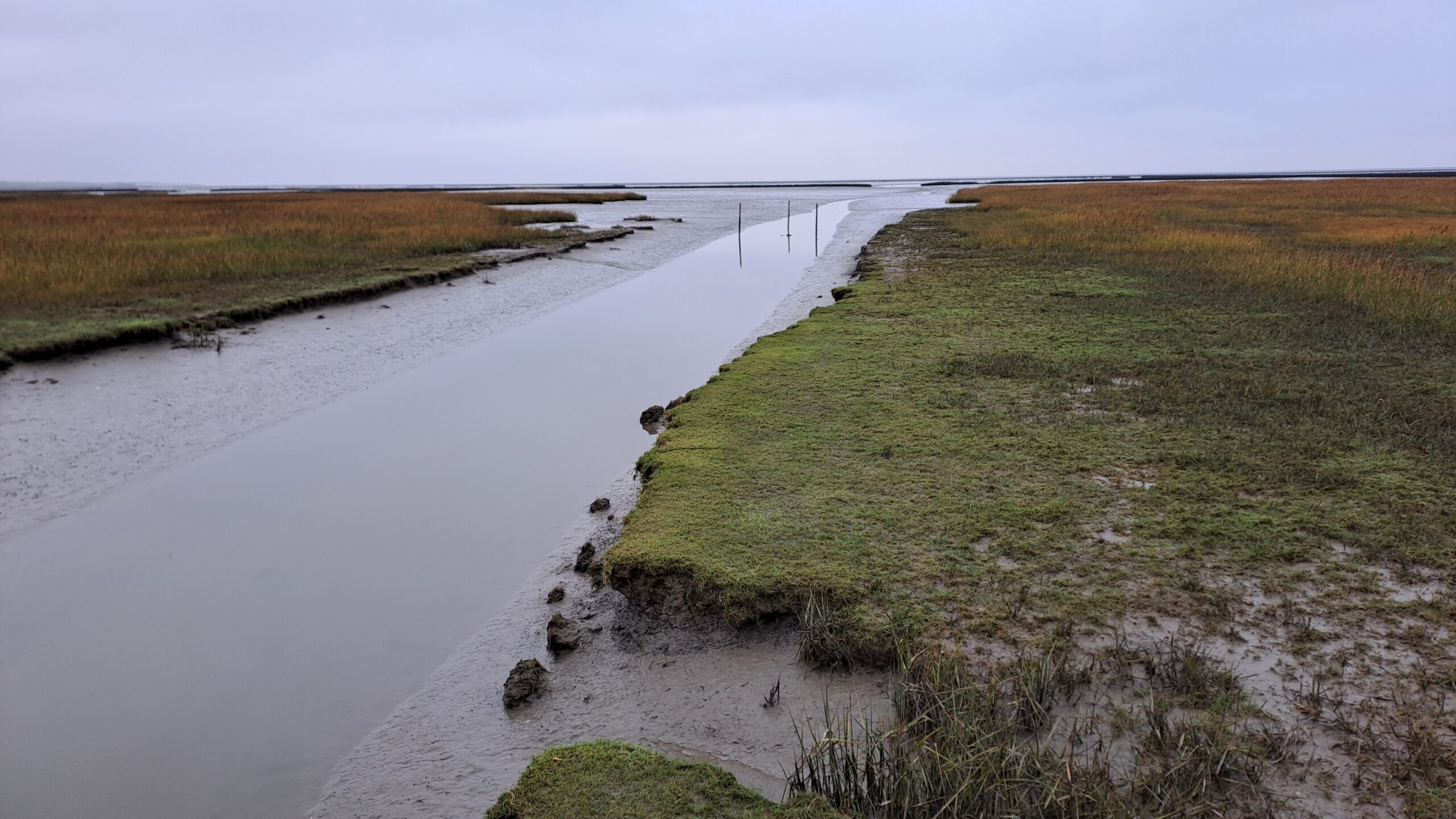 Uitgestrekt wadlandschap met modderige getijdengeul en graslanden onder een grijze lucht.