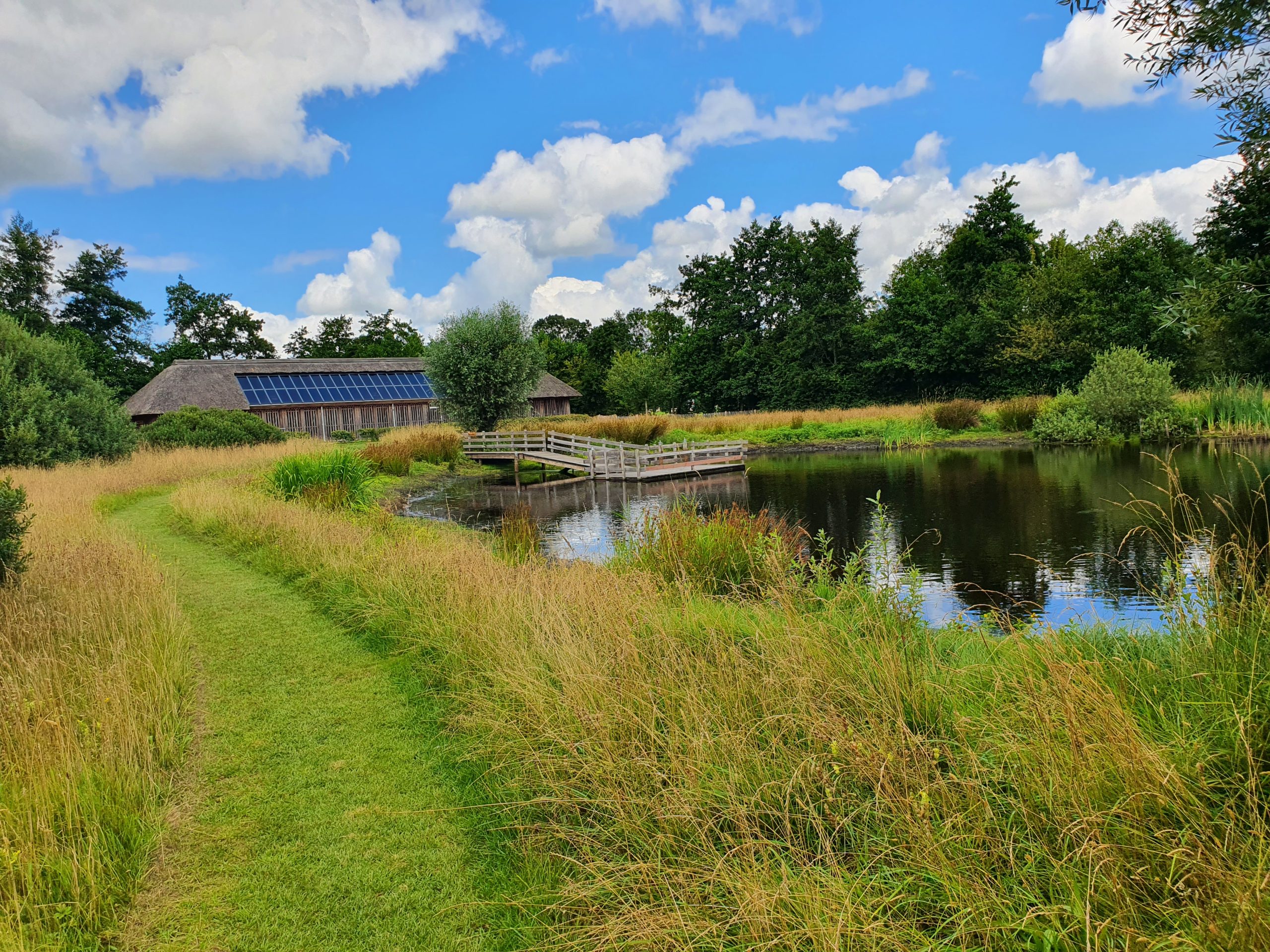 Mooie vijver met houten brug en gebouw met zonnepanelen, omringd door groen gras en bomen.
