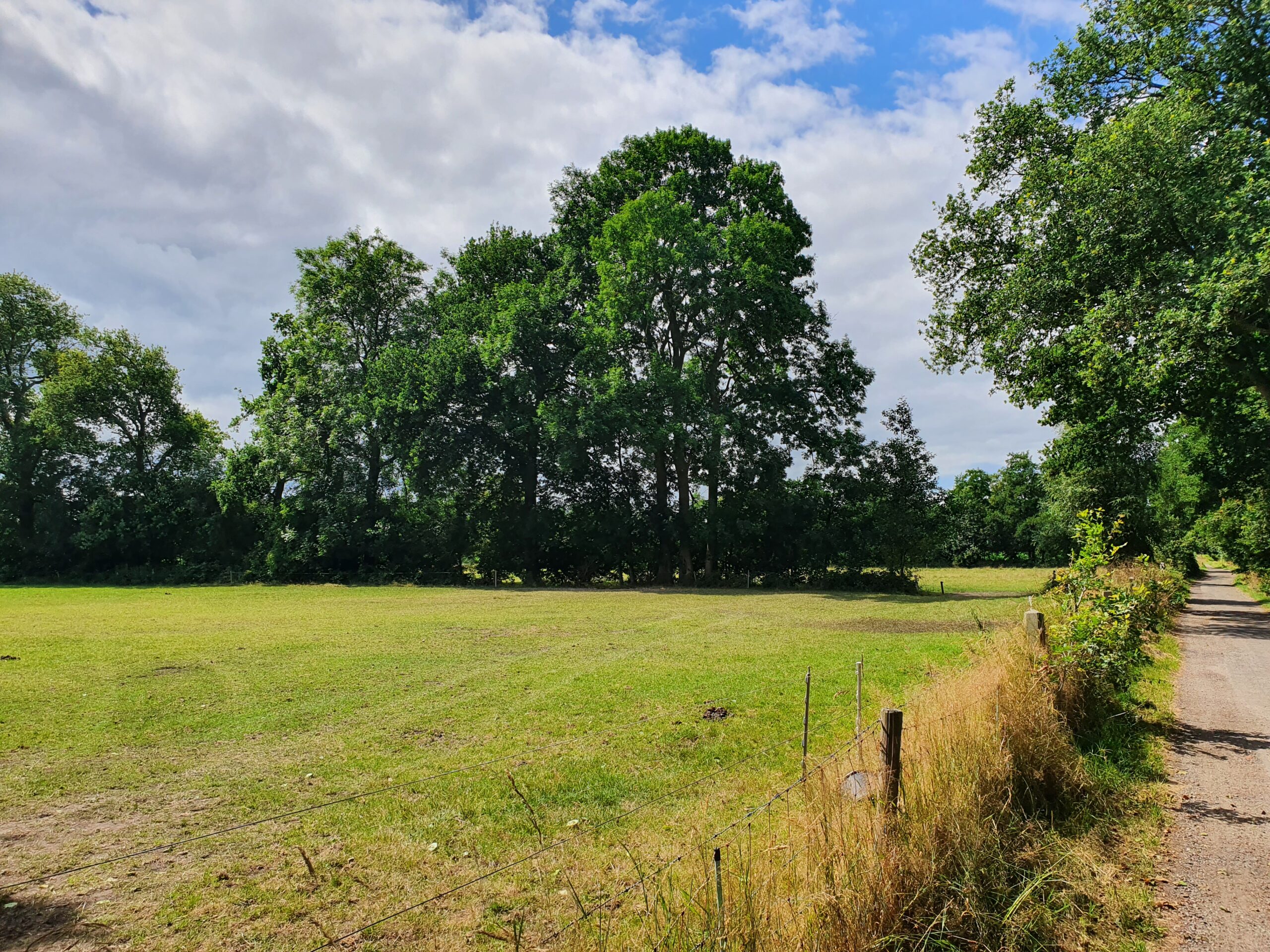 Een groen weiland met bomen eromheen en een smal pad rechts onder een bewolkte hemel.