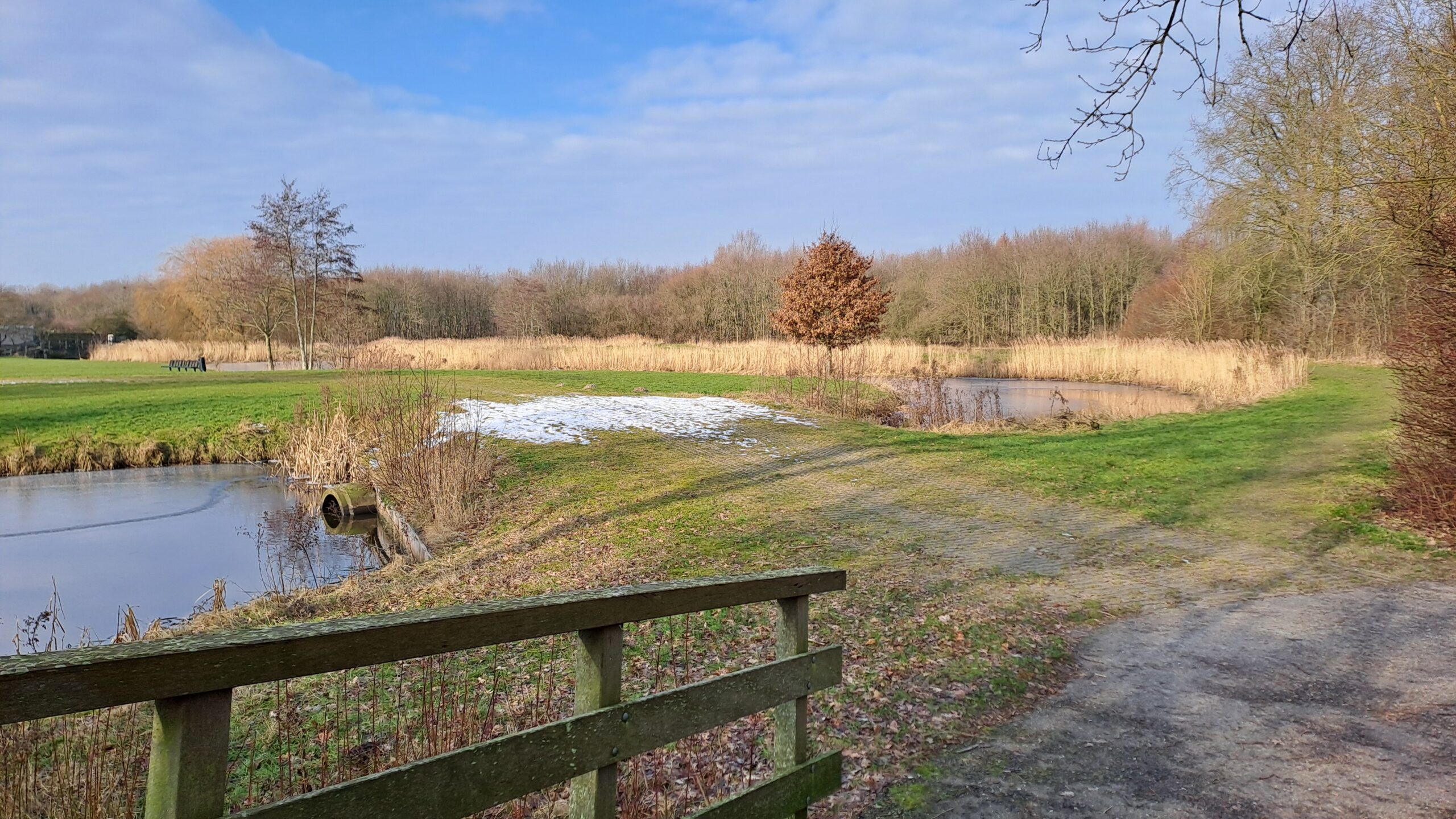Park met vijver, brug, gras, en enkele bomen. Een beetje sneeuw ligt verspreid op het gras.