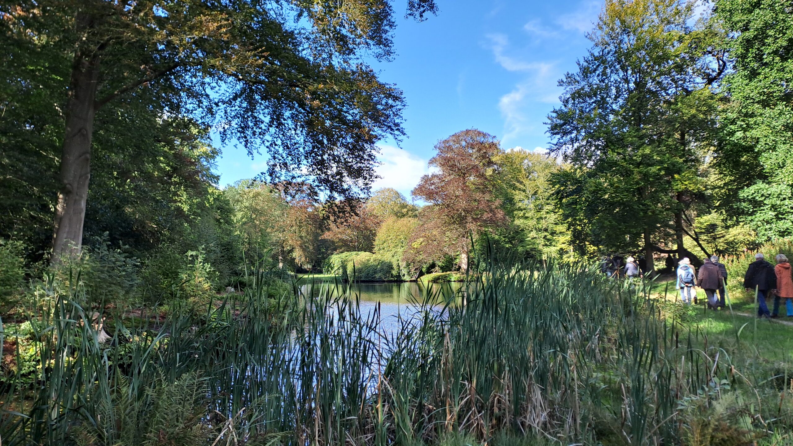 Bomen omringen een vijver onder een blauwe lucht; mensen wandelen langs het pad.
