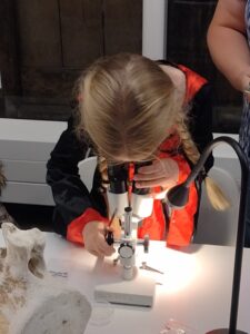 Kind onderzoekt objecten onder een microscoop met begeleiding, naast een groot bot op tafel.