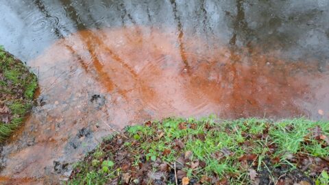 Gras en blaadjes langs een modderige oranje en donkere waterkant met regendruppelkringen.