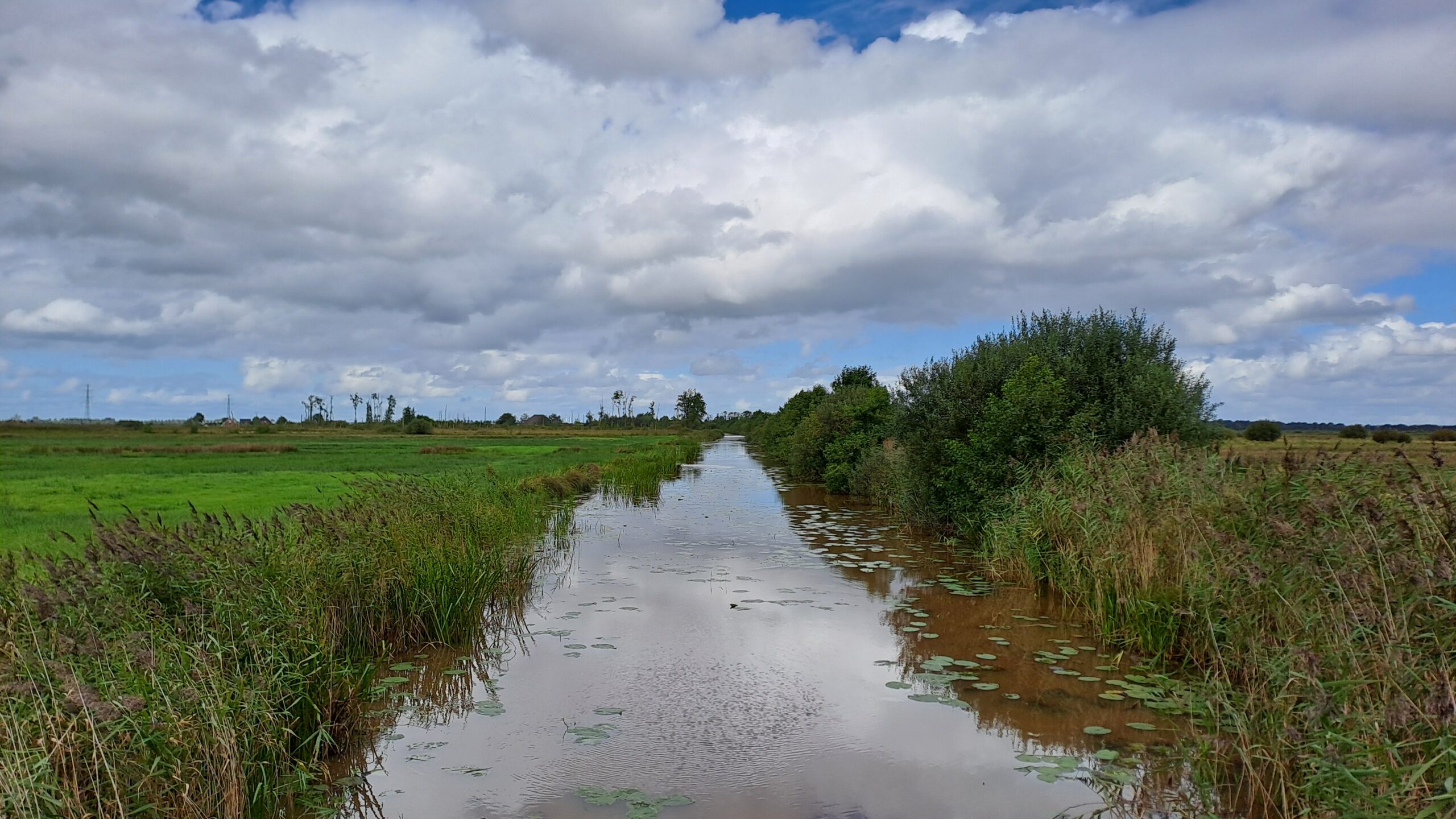 Een brede sloot omgeven door grasland en riet met bewolkte hemel erboven.