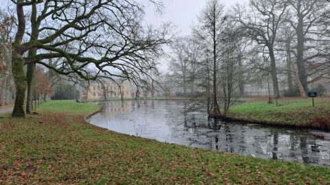 Mistsluier boven vijver in park, met kale bomen en een historisch gebouw op de achtergrond.