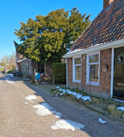 Sneeuwresten op straat langs bakstenen huizen met groene bomen en blauwe lucht.