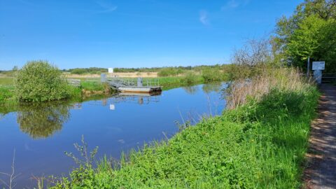 Rustige sloot met kleine ponton, omgeven door groen en een heldere blauwe lucht.
