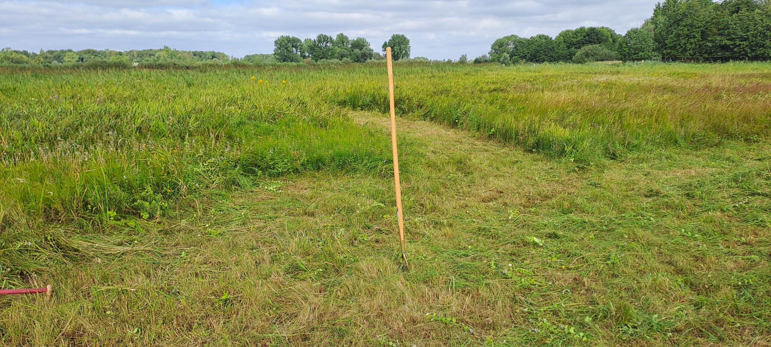 Houten paal in grasveld met bomen aan de horizon onder een bewolkte hemel.