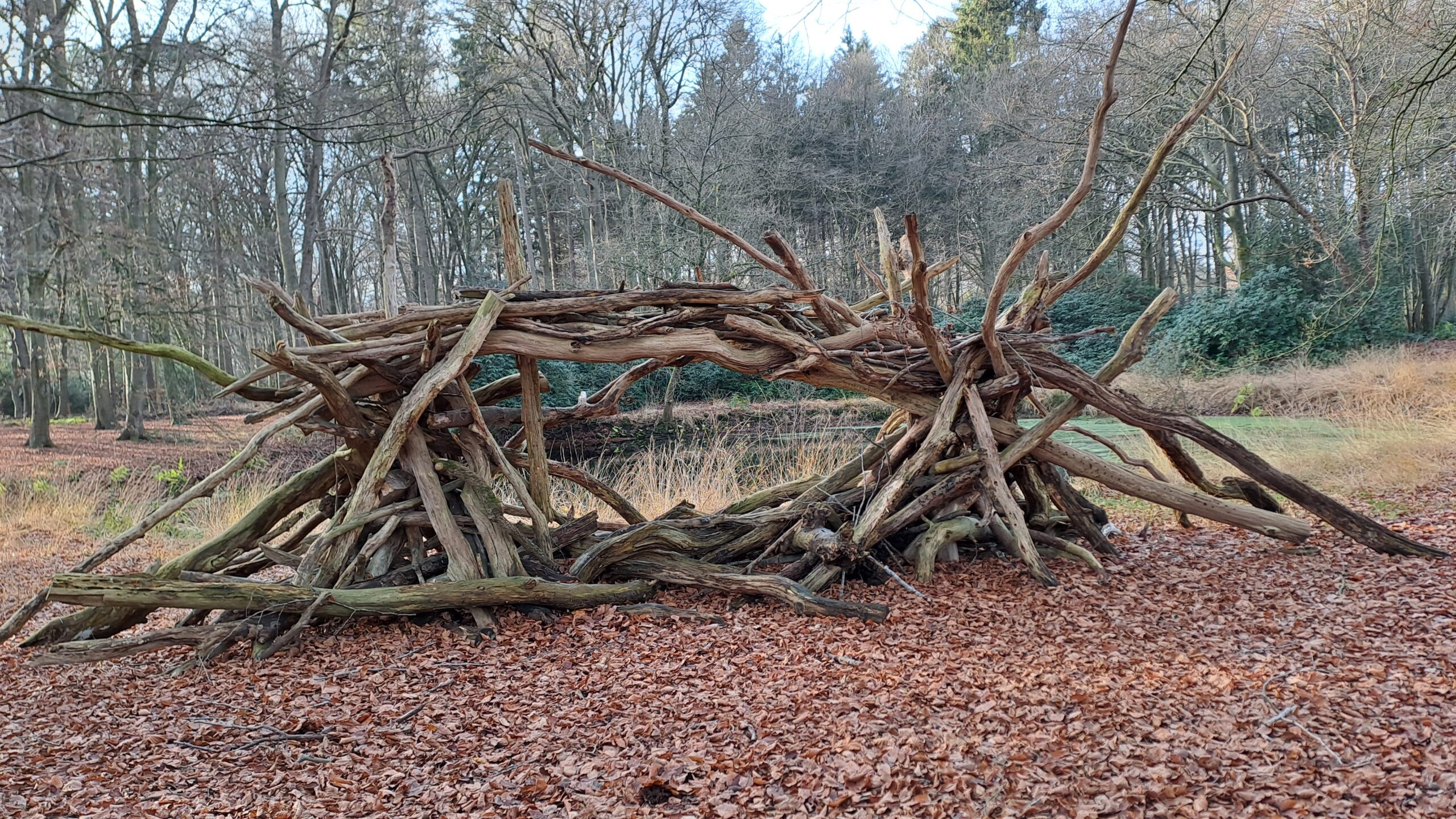Stapel takken vormt een natuurlijk kunstwerk in een bos met herfstbladeren en kale bomen.