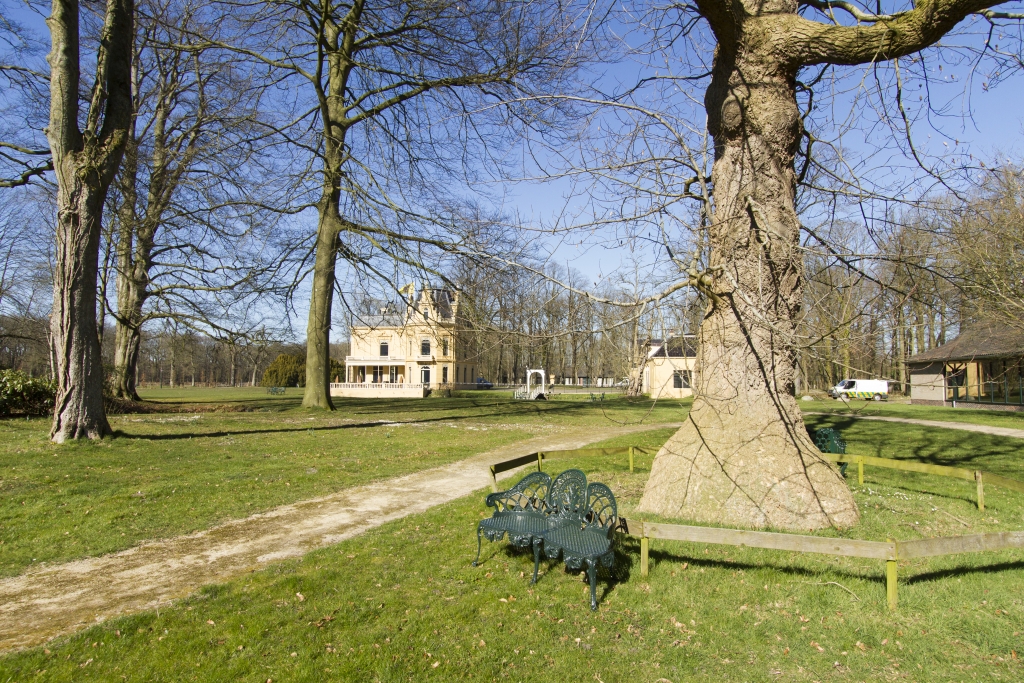 Parklandschap met een grote boom, bankjes, een villa en een bestelbus op zonnige dag.