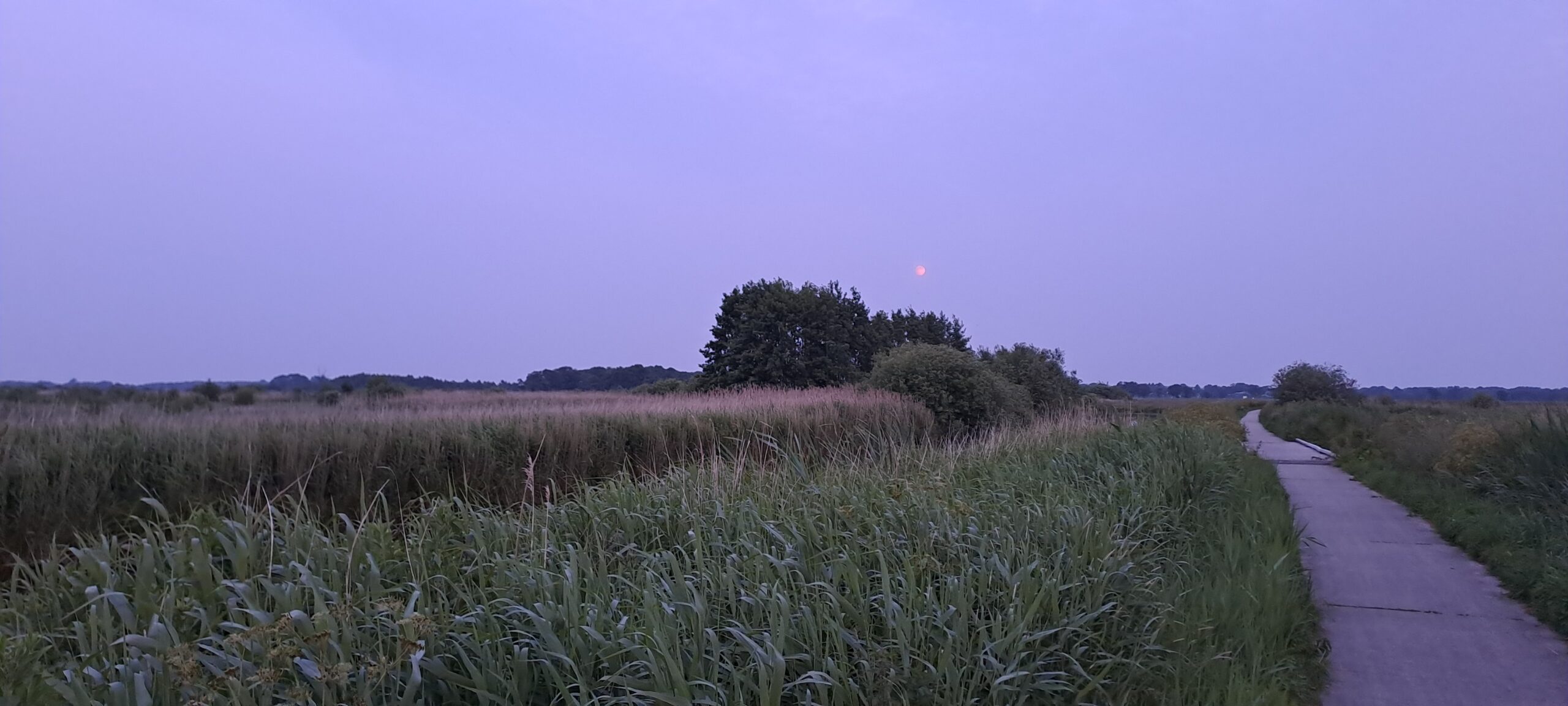 Pad door een groen landschap bij schemering, met een lichte maan aan een paarse hemel.