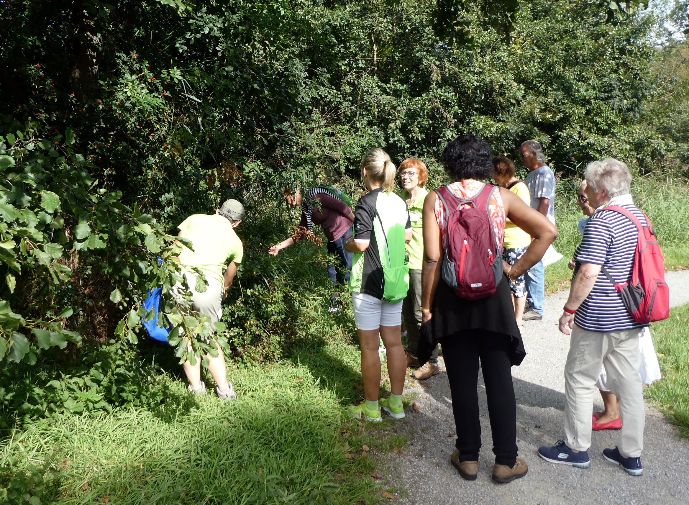 campus zijn Kreek Terugblik excursie Eetbaar groen - Zoetermeer